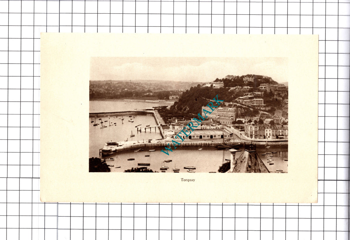 Torquay Devon - 1930 Cutting / Print