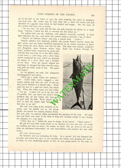 Horace Annesley Vachell Greer Campbell James Gardner Tuna Fishing - 1898 Article