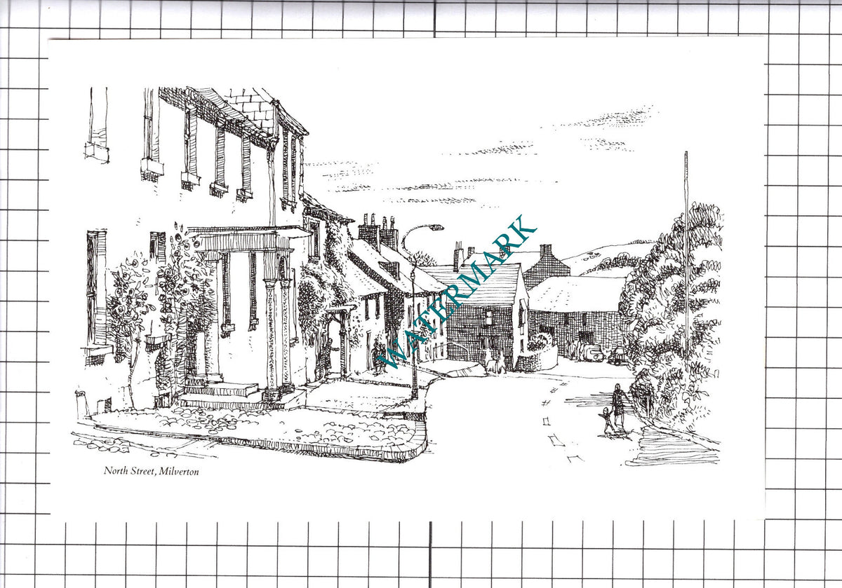 North Street Milverton Somerset   - 1980's Cutting / Print
