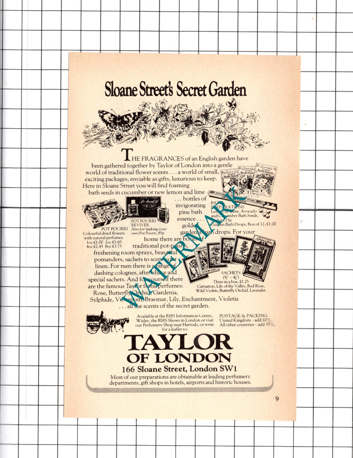 Taylor Of London Small Advert - 1976 Clipping / Print