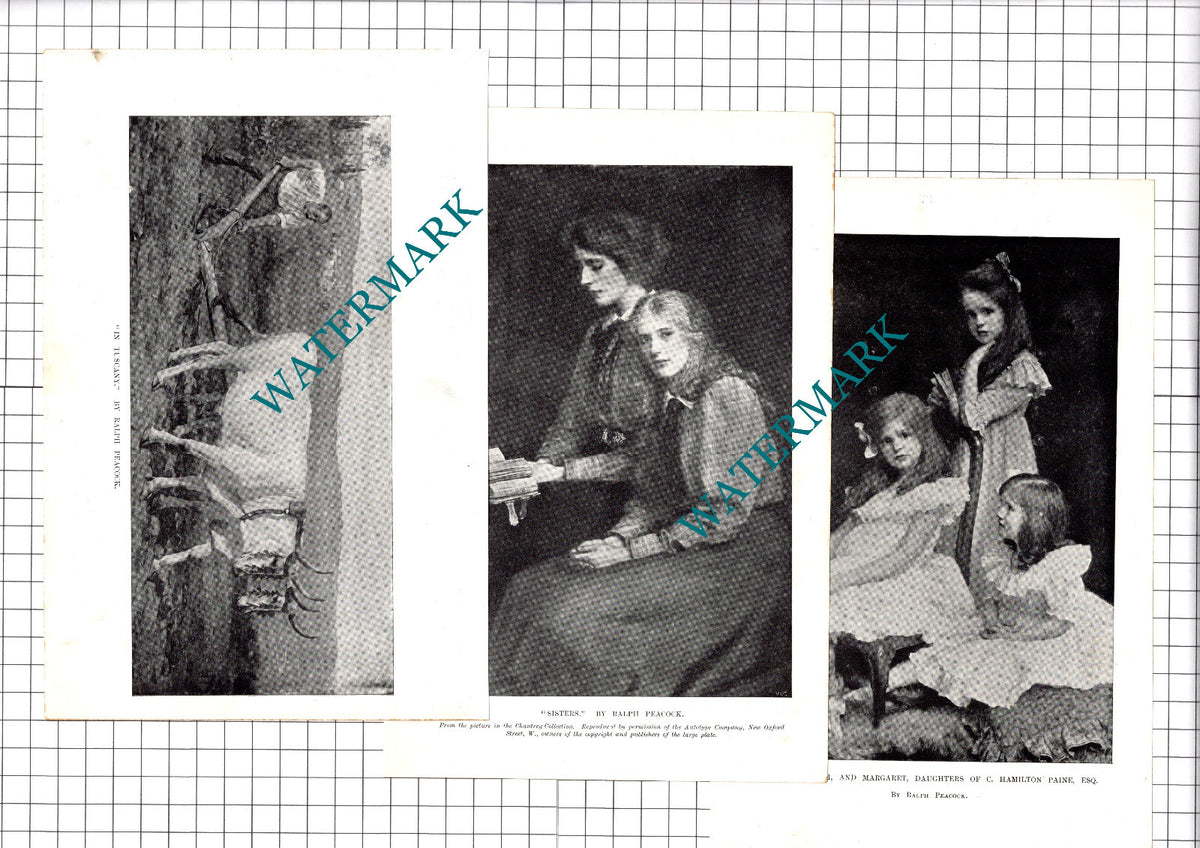 Ralph Peacock Artist  - 1907 Article / Print