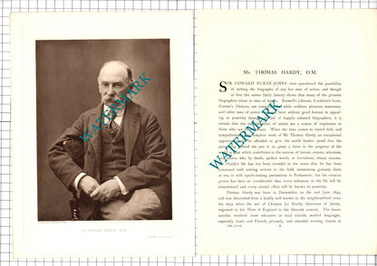 Mr Thomas Hardy Novelist  - 1920's Article / Print