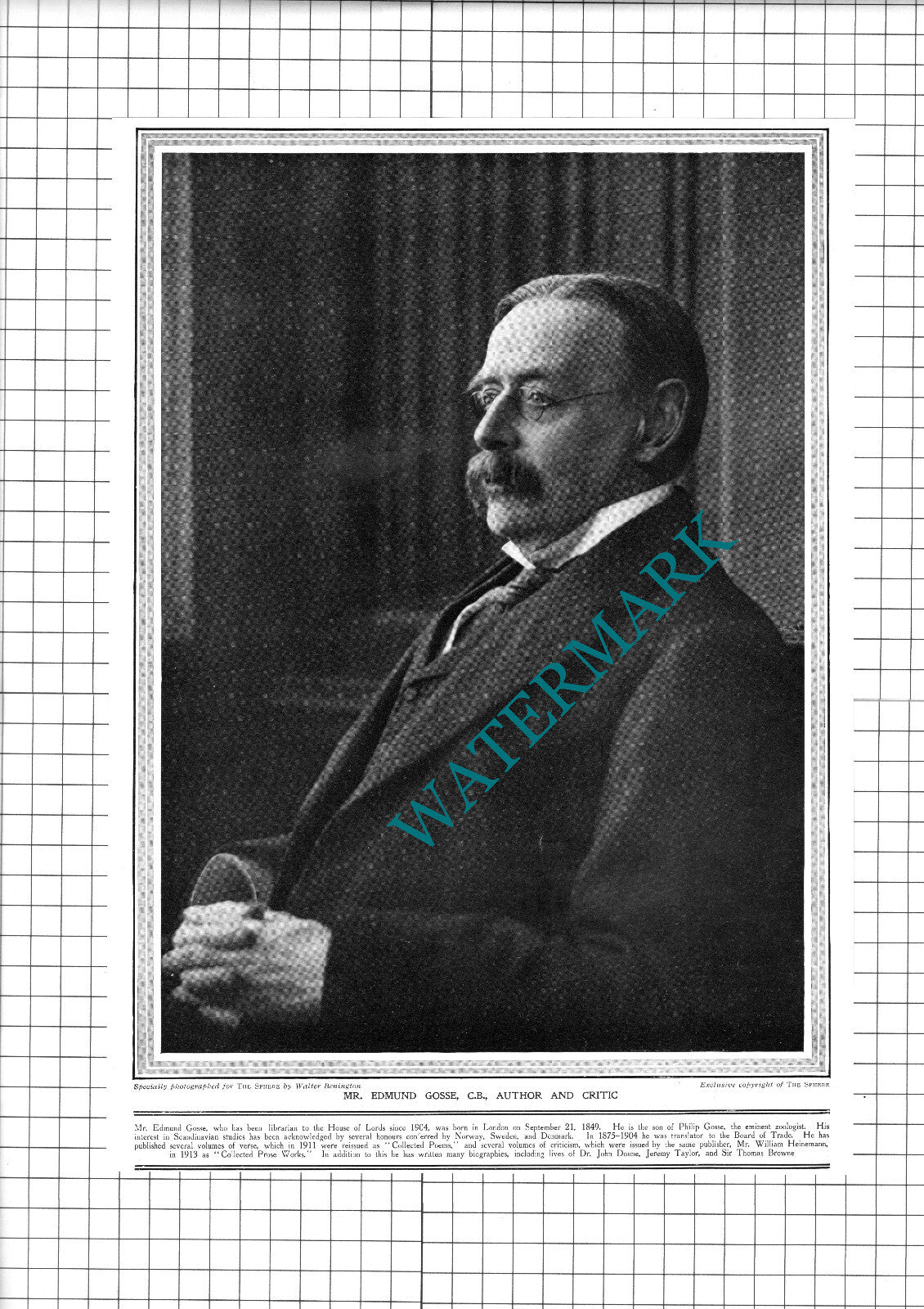 Mr Edmund Gosse Author  - 1914 Clipping / Print