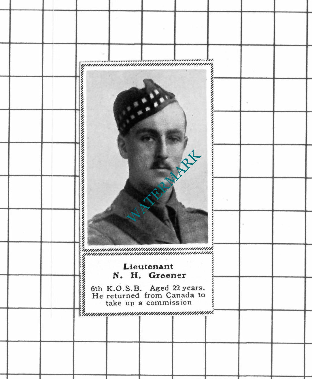 Lt N H Greener 6th King's Own Scottish KOSB WW1 -c.1918 SMALL Clipping / Print
