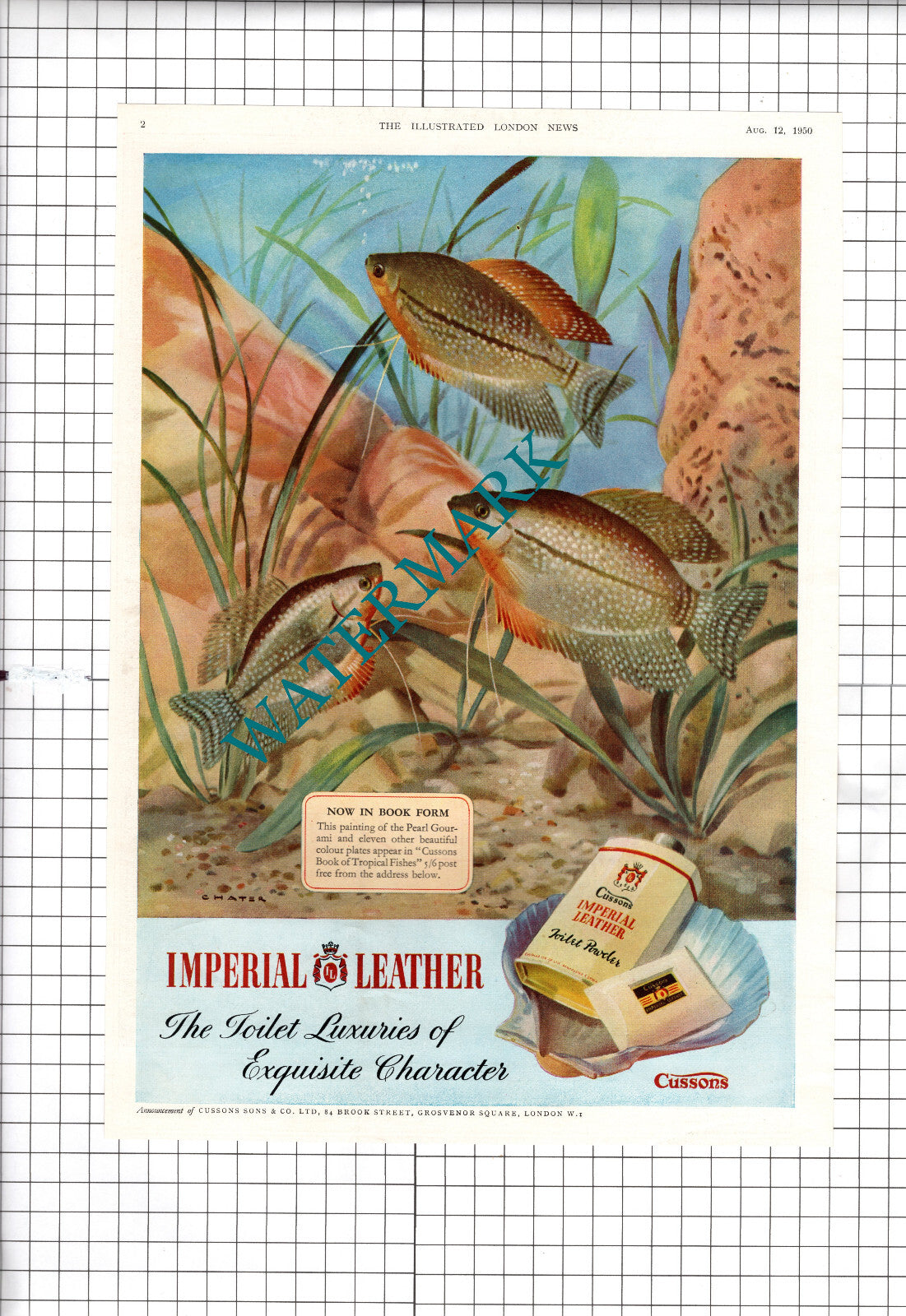 Cussons Imperial Leather Fish Advert - 1950 Cutting