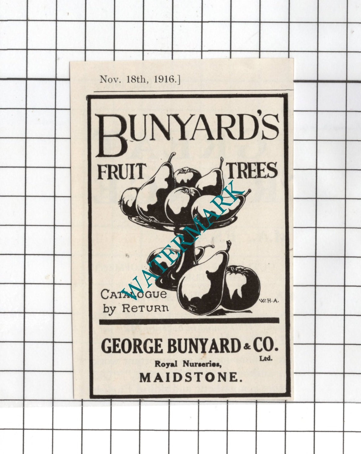 George Bunyard & Co Royal Nurseries Maidstone Kent - 1916 SMALL Advert