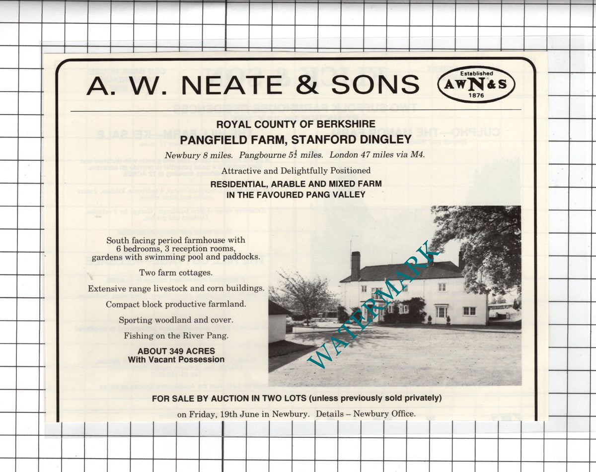 Pangfield Farm Stanford Dingley Berkshire House Sale Advert - 1981 Cutting