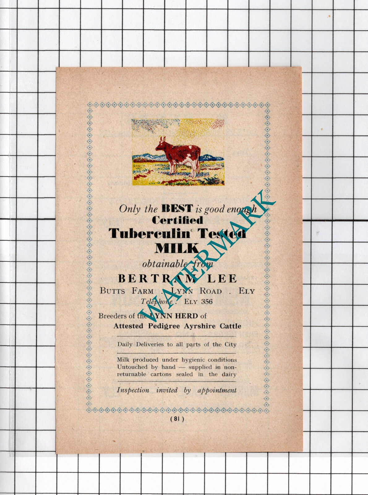 Bertram Lee Butts Farm Ely Cambridgeshire Lynn Herd Cattle  - 1949 Small ADVERT