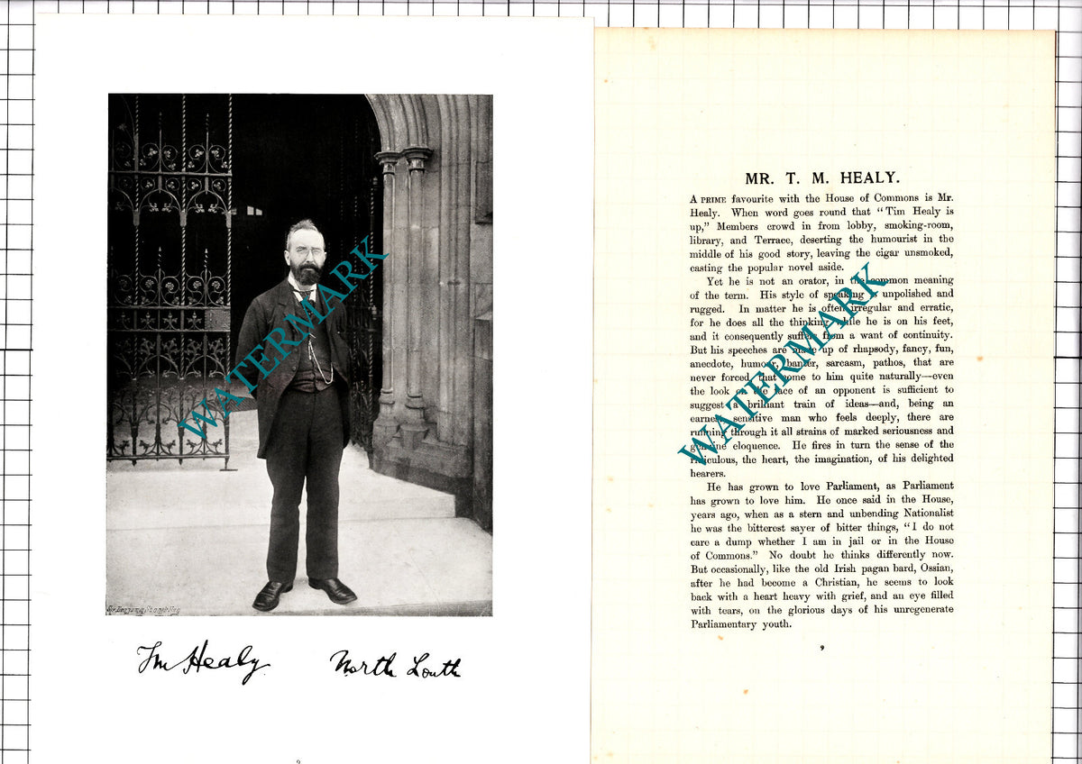 Tim Healy House Of Commons  - c.1904 Article / Print