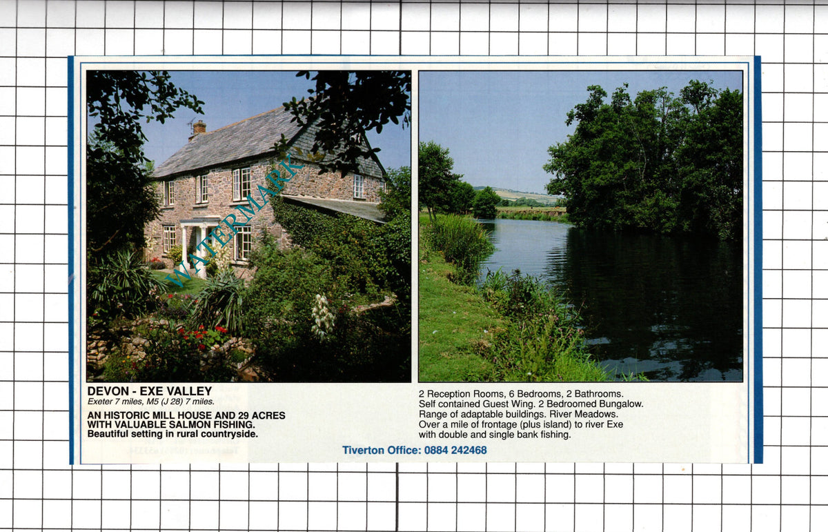 Exeter Devon Mill House Sale Advert - 1991 Cutting