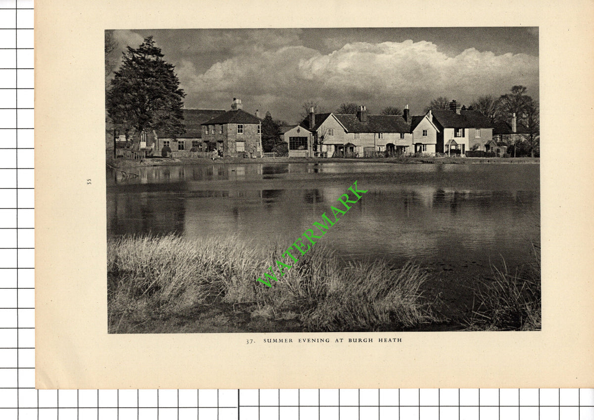 Burgh Heath Surrey - 1949 Book Print