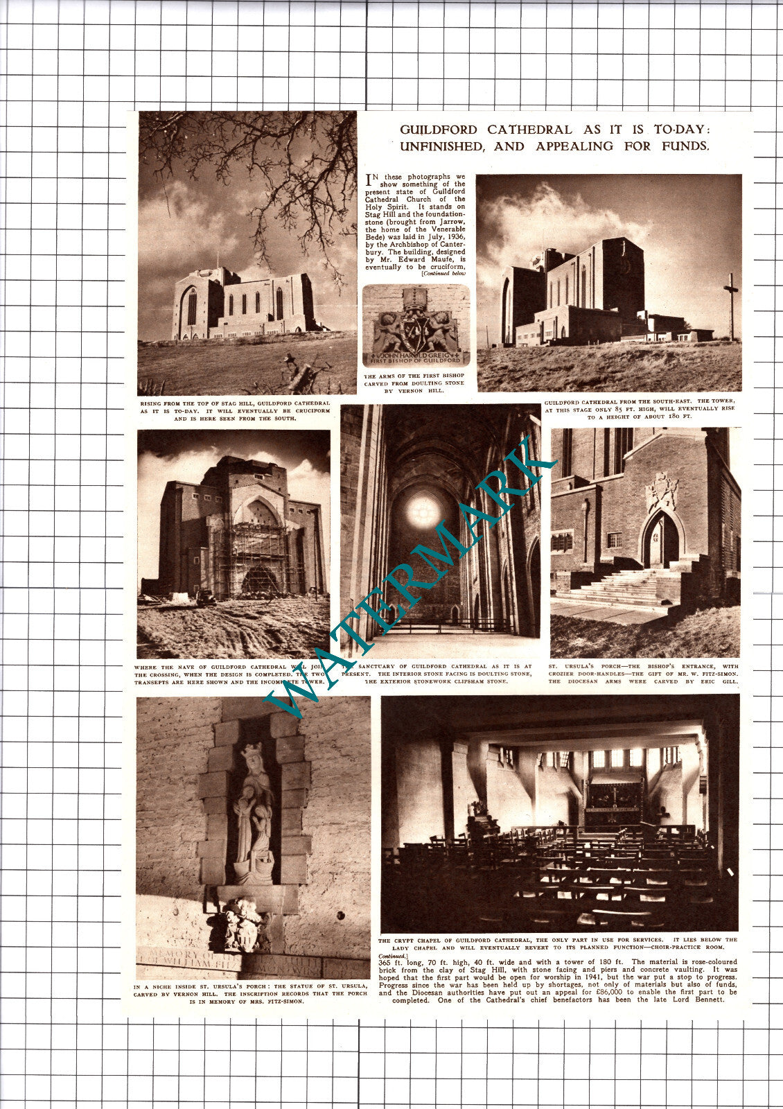 Guildford Cathedral Appeal - 1952 Cutting / Print