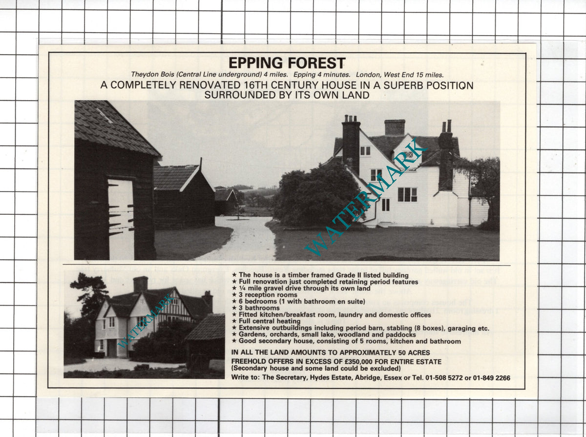 Epping Forest Epping Essex House Sale Advert - 1981 Cutting
