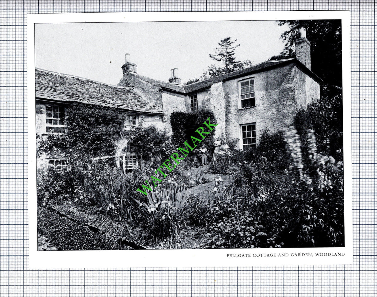 Fellgate Cottage Cumbria  - Cutting / Print