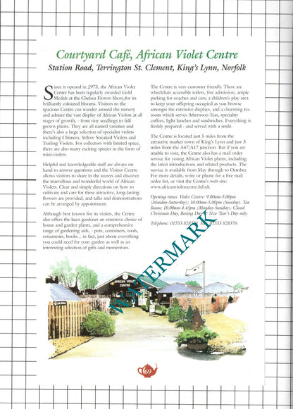 Chestnut Farm Gedney Lincs / African Violet Terrington St Clement  c.2001 Advert