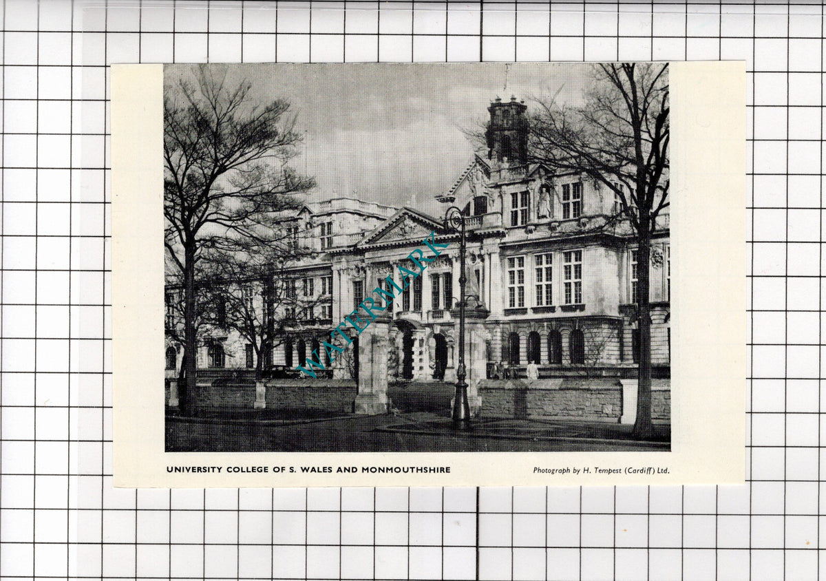University College Of South Wales and Monmouthshire - 1958 Small Clipping