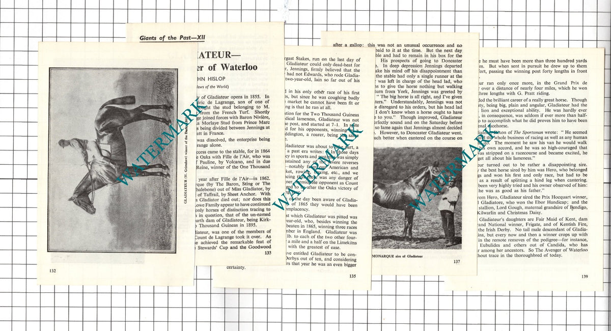 GLADIATEUR Race Horse Count Frederic de Lagrange -   1962 Small Article