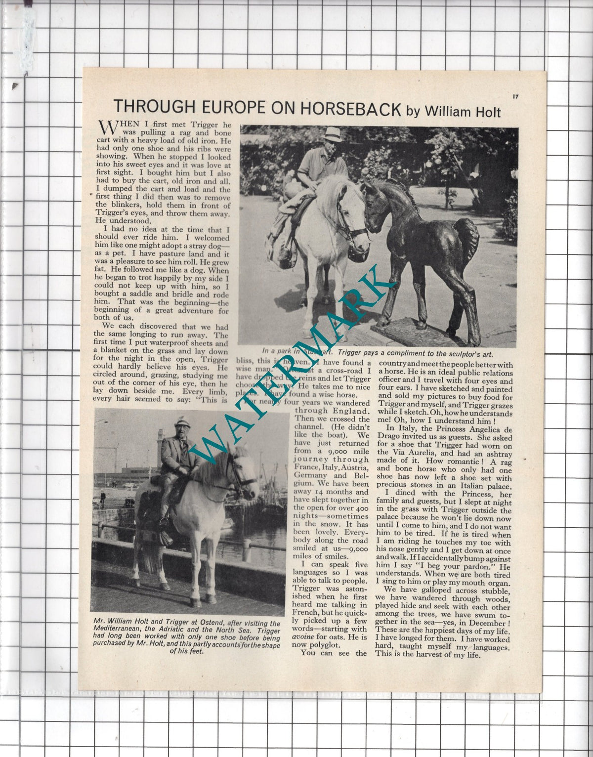 Mr William Holt  Horse Trigger   - 1966 Article