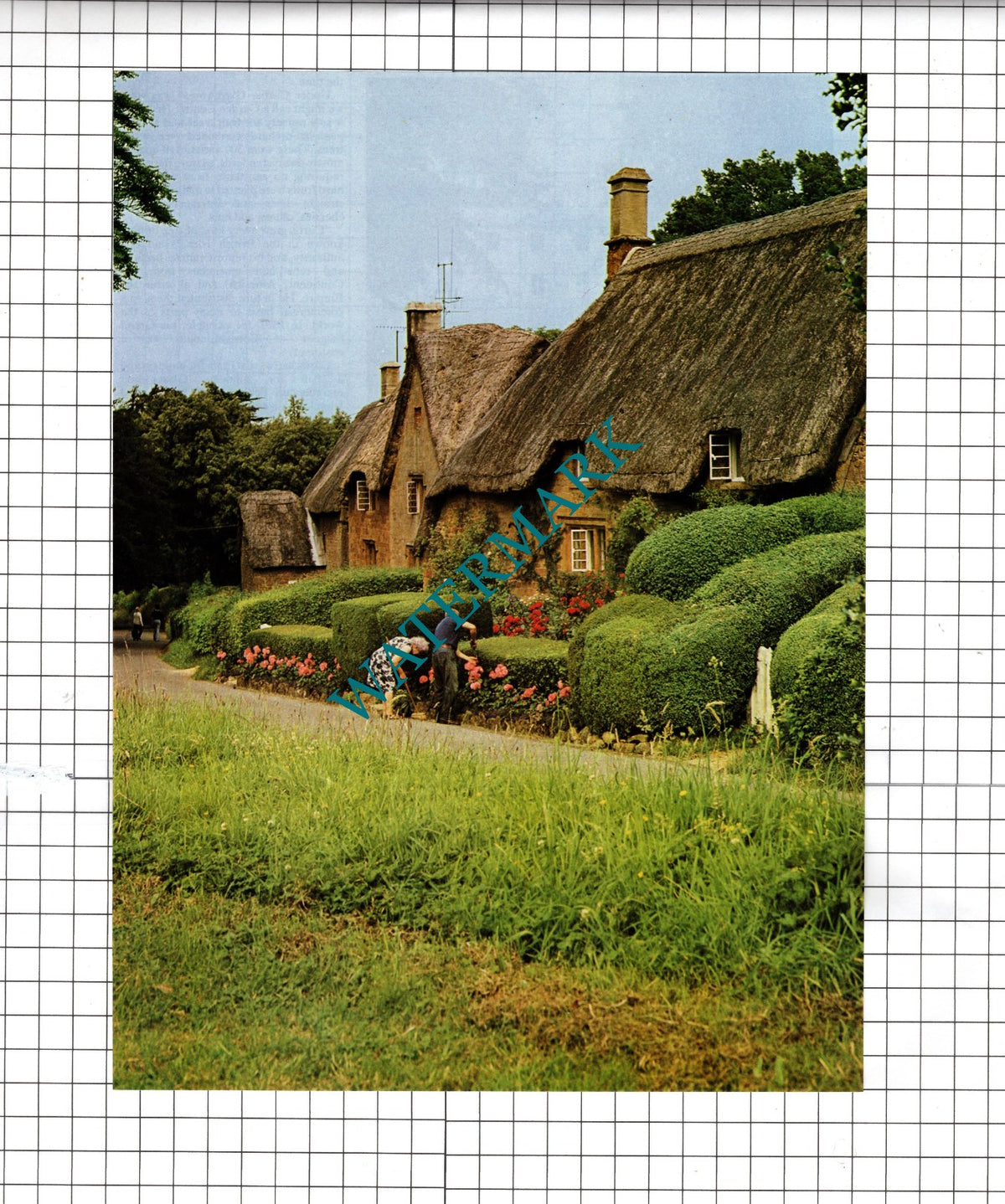 Great Tew Oxfordshire - 1979 Clipping