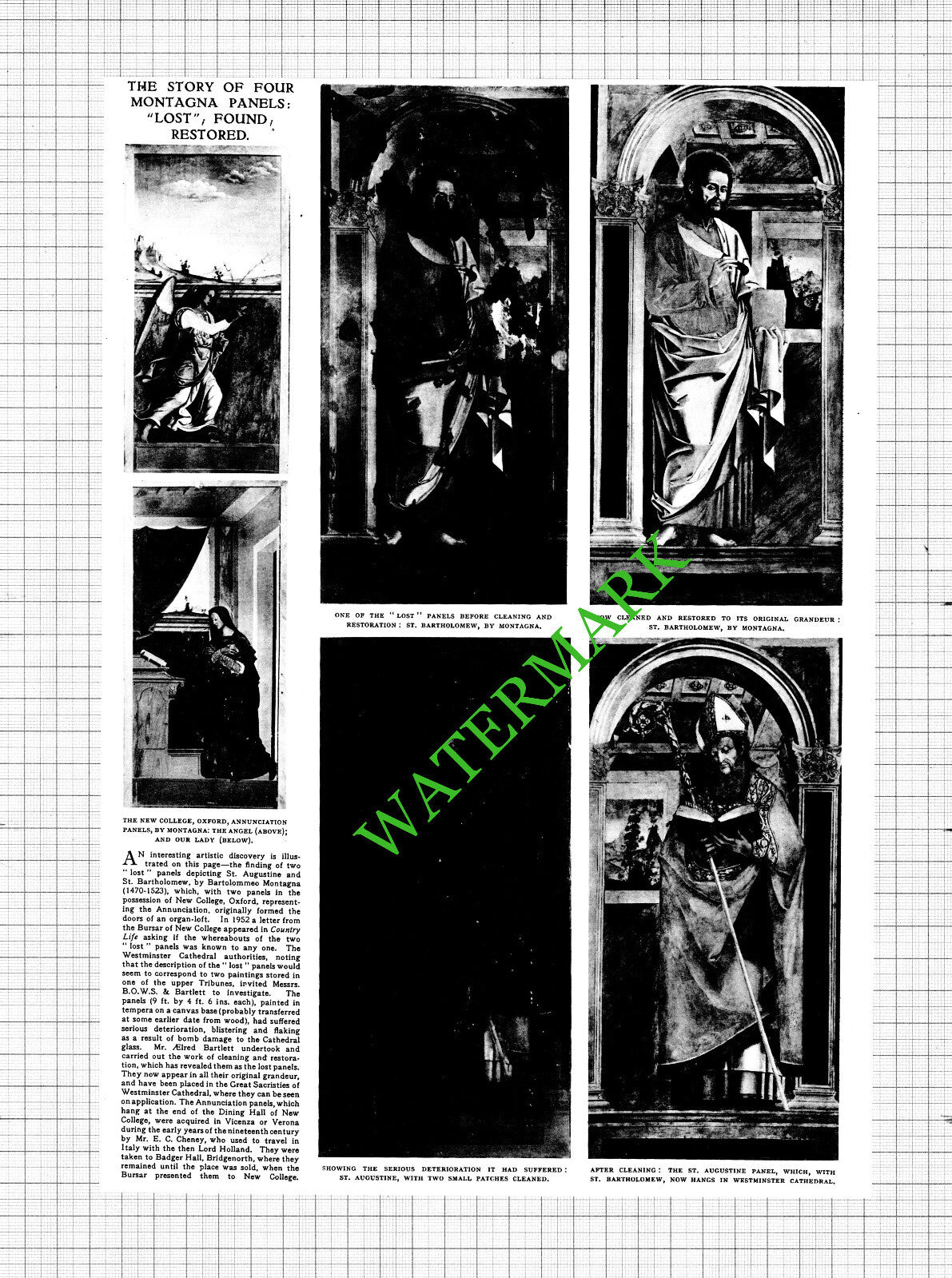 Bartolommeo Montagna Panels Mr Aelred Bartlett  - 1954 Cutting / Print