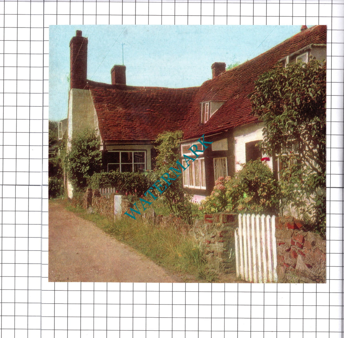 Thorpe-le-Soken Essex Mill Lane  - 1967 Cutting / Print