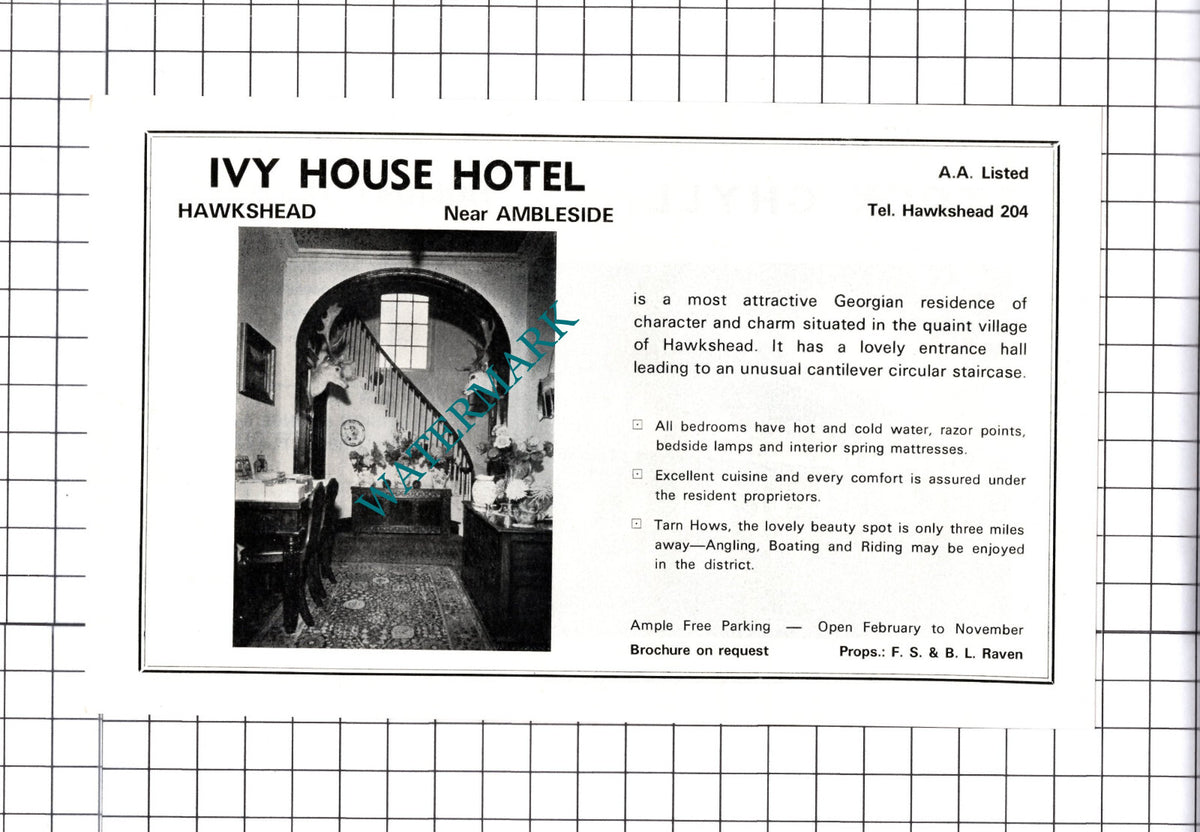 Stock Ghyll Flatlets / Ivy House Hotel Ambleside Raven Advert - c.1968 Cutting