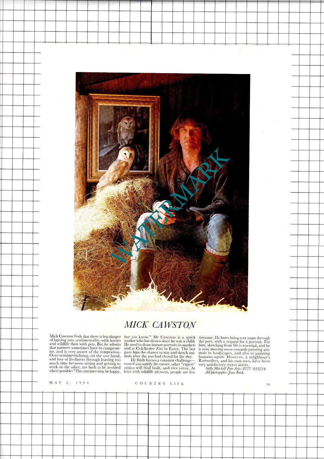 Mick Cawston Artist  - 1994 Clipping / Print