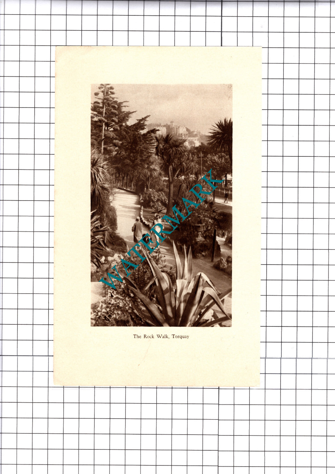 The Rock Walk Torquay Devon - 1930 Cutting / Print