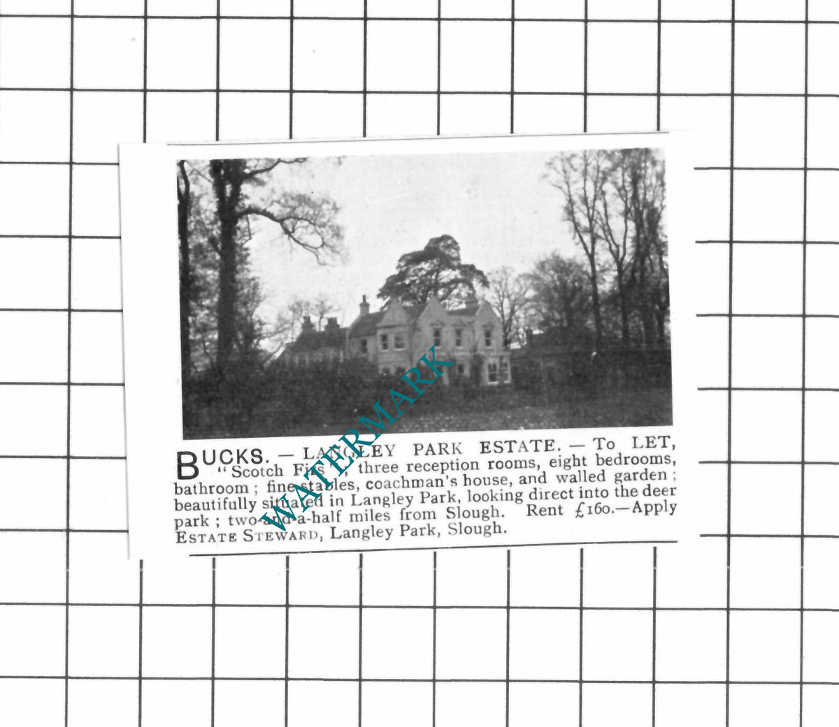Scotch Firs Langley Park Estate  Letting Advert  - 1903 SMALL Clipping