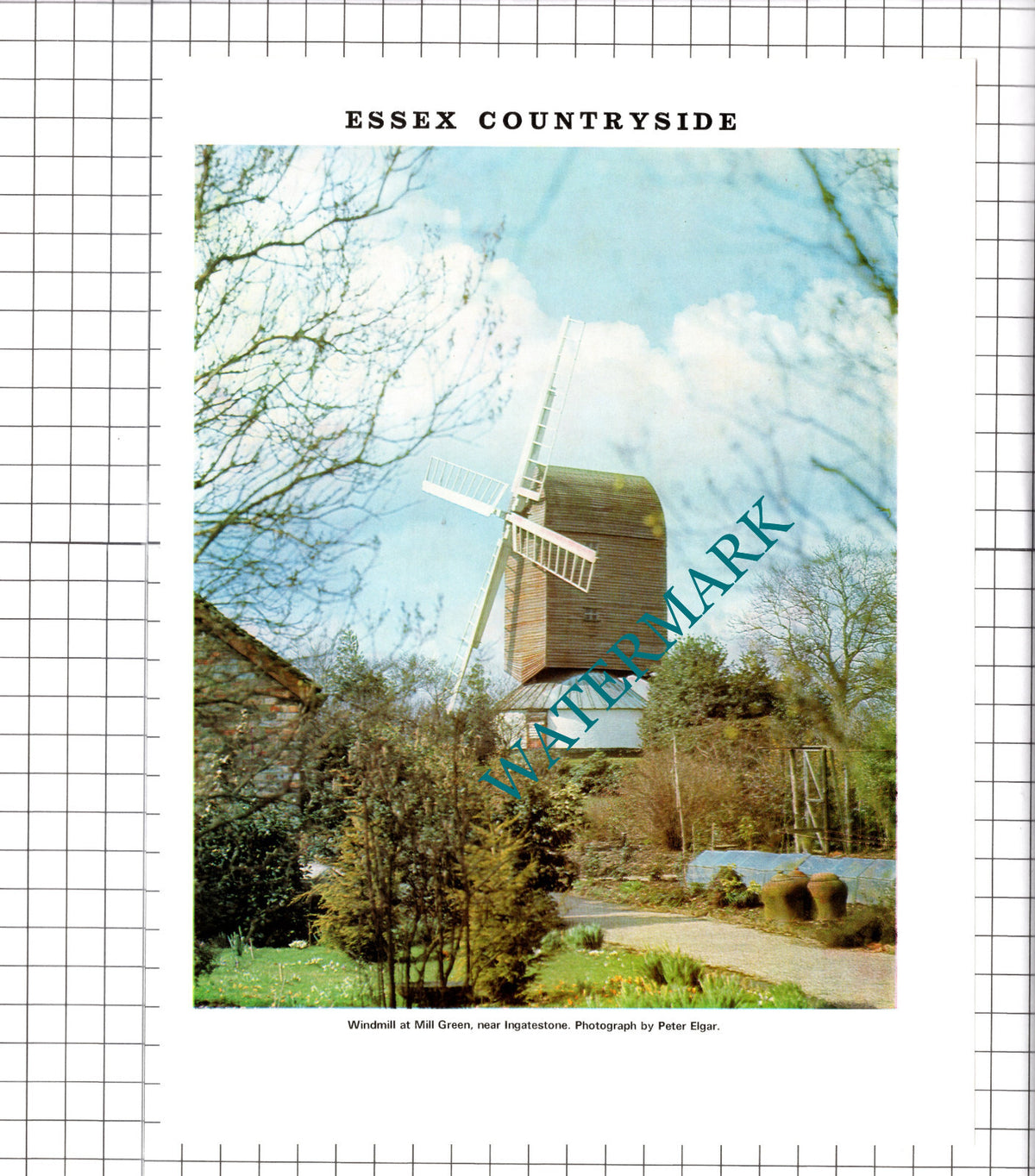 Mill Green Windmill Ingatestone Essex  - 1972 Clipping / Print