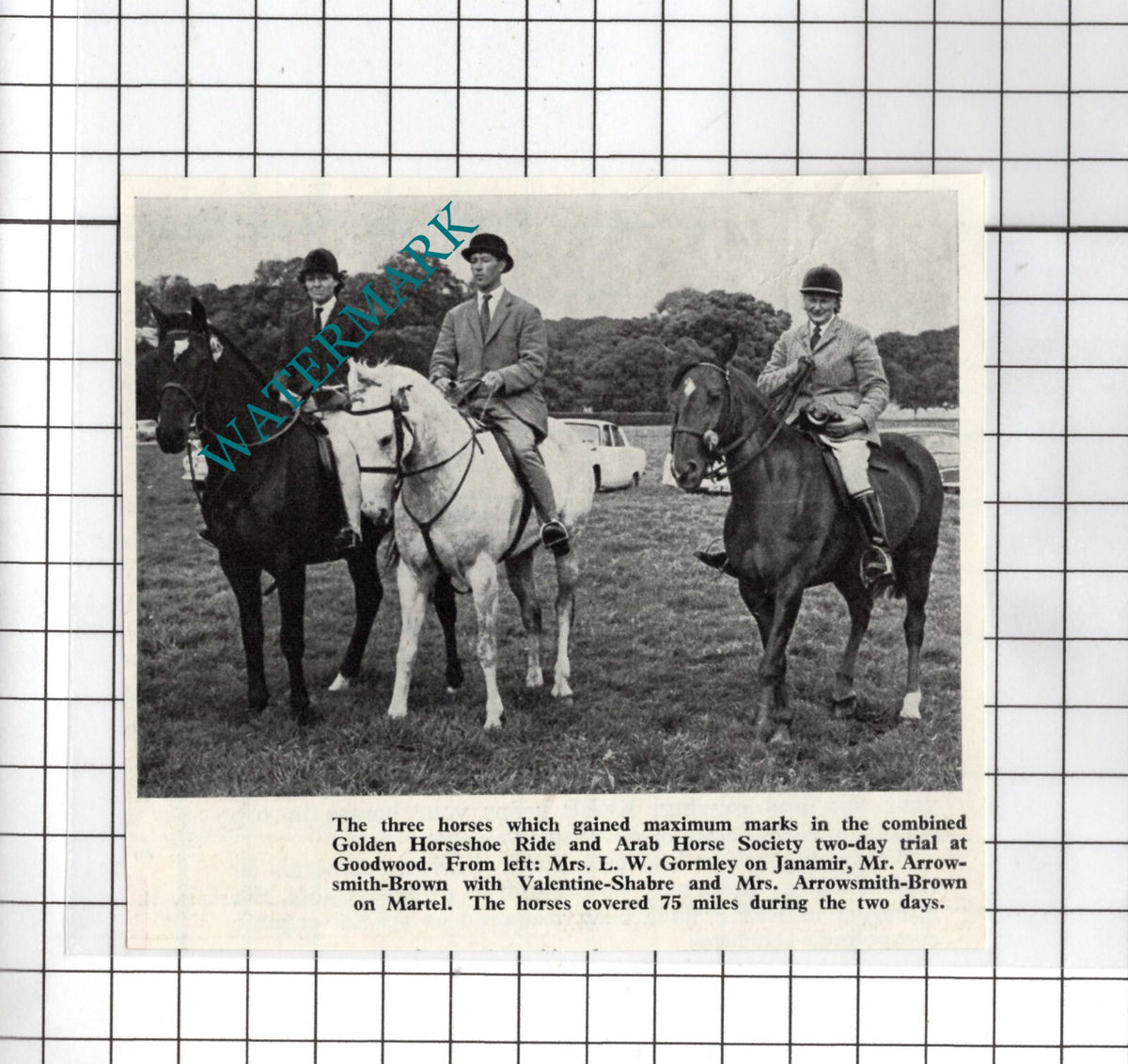Mr Arrowsmith-Brown Mrs L W Gormley Arab Horse Society - 1968 Small News Cutting