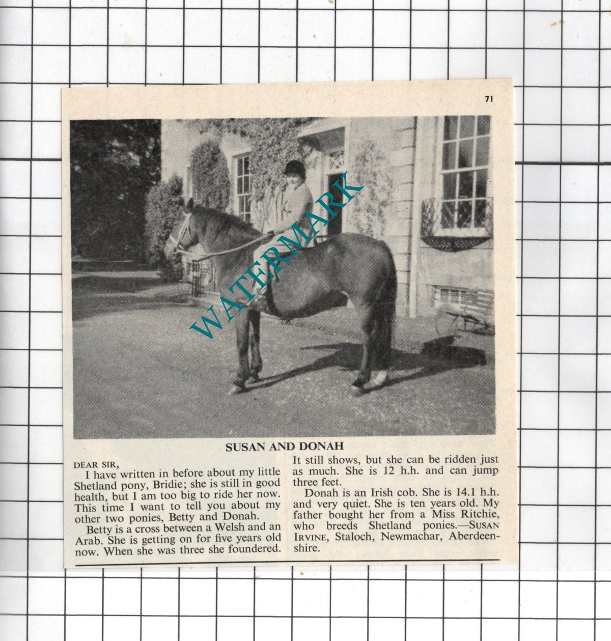 Susan Irvine Staloch Newmachar Aberdeenshire Scotland - 1963 Small Clipping