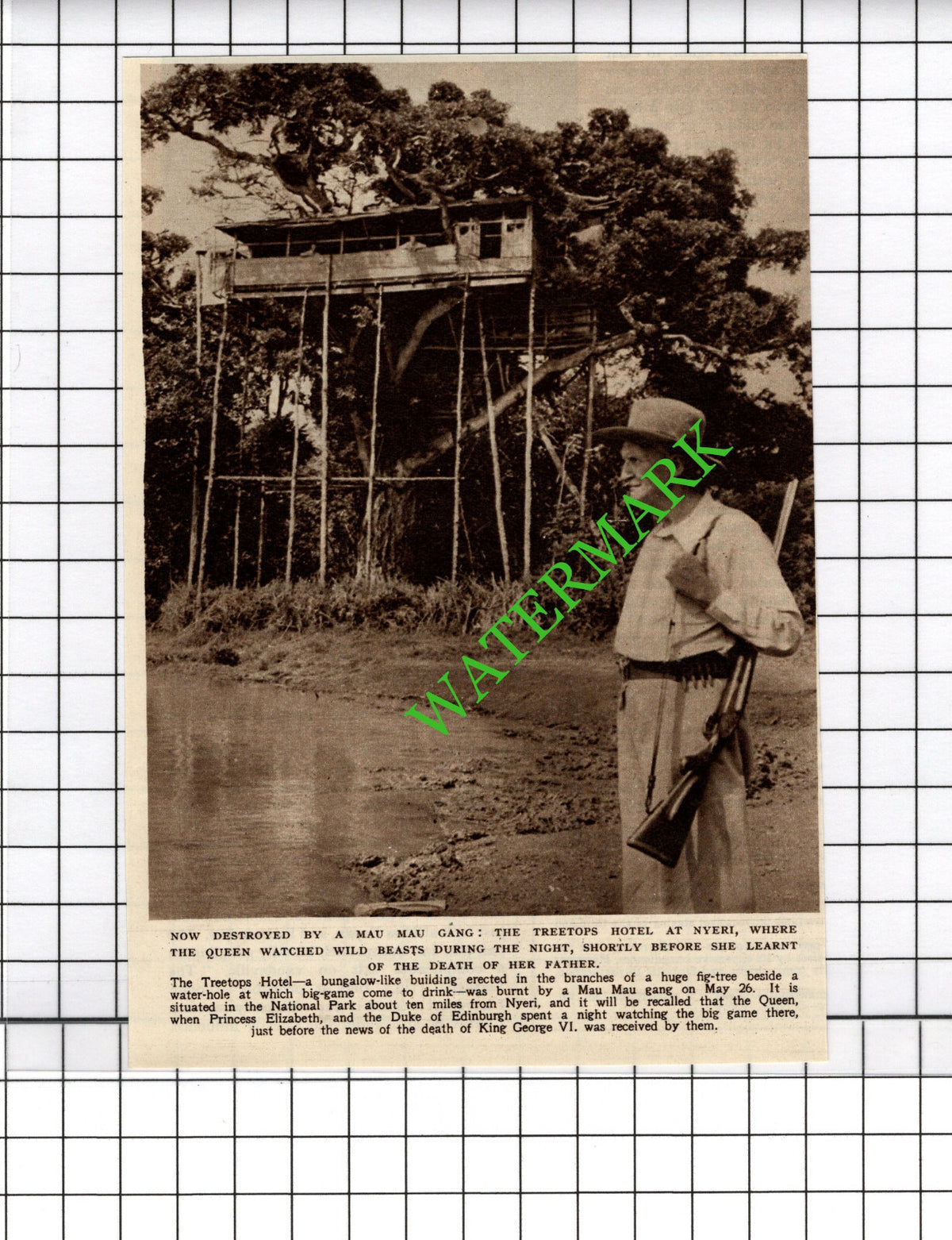 Treetops Hotel Nyeri Mau Mau Attack -  1954 Cutting