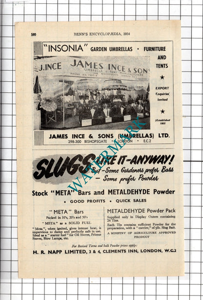 Taylor's Parafin Oil & Gas London / James Ince & Sons Umbrellas -  1954 Advert