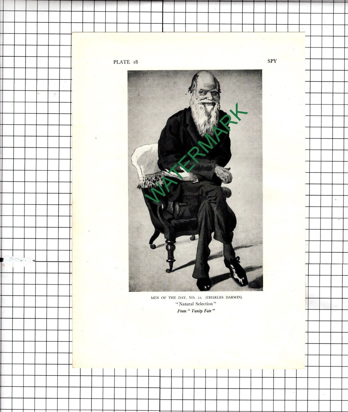 Charles Darwin Caricature Spy - 1928 Illustration