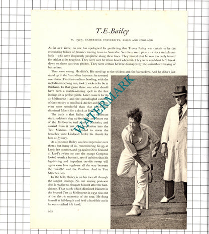 William Arras Johnston Cricketer / Trevor Bailey Cricket - 1952 Book Print