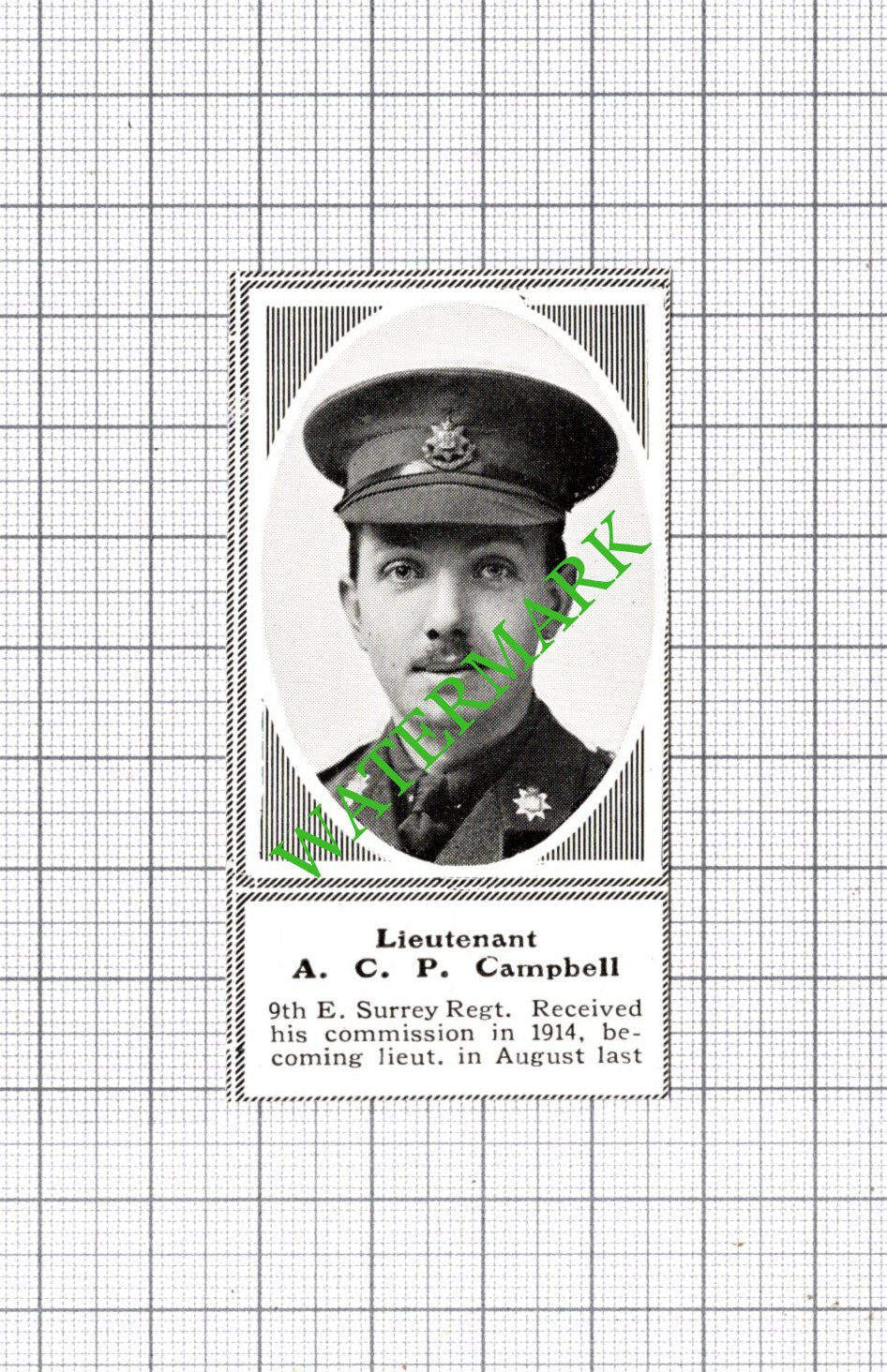 Lt ACP Campbell 9th E Surrey Regiment WW1 - c.1918 SMALL Cutting
