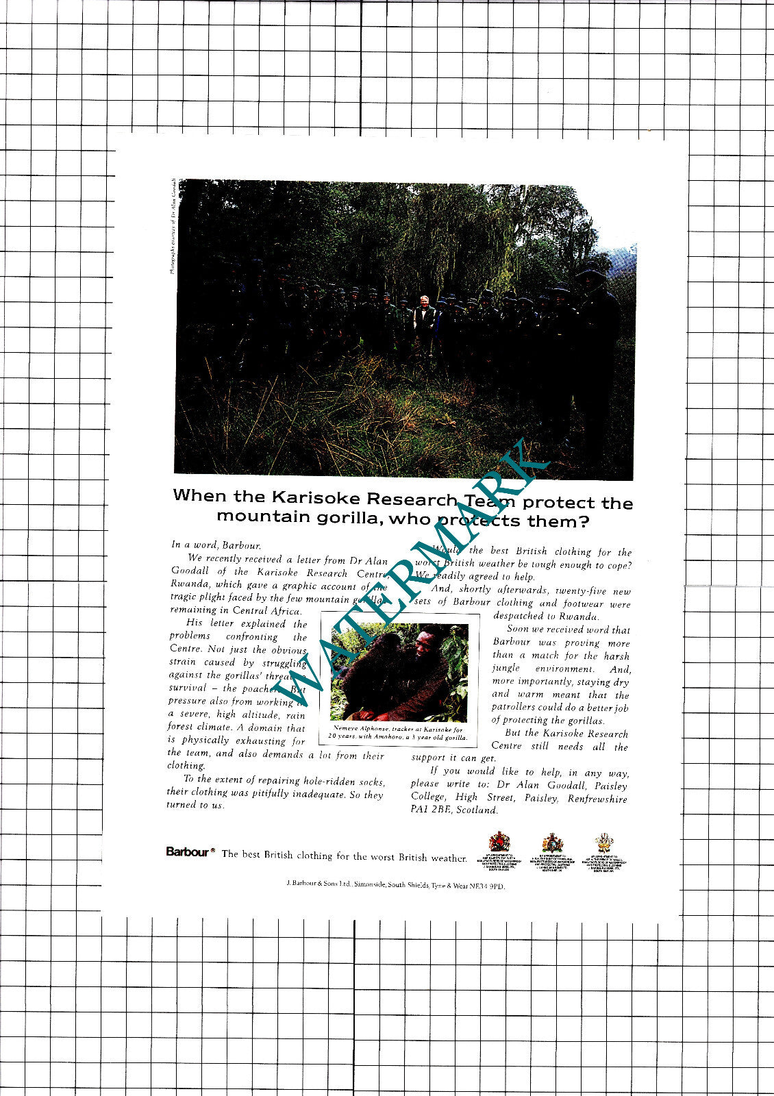 Dr Alan Goodall Karisoke Research Team Barbour Advert   - 1990 Clipping / Print