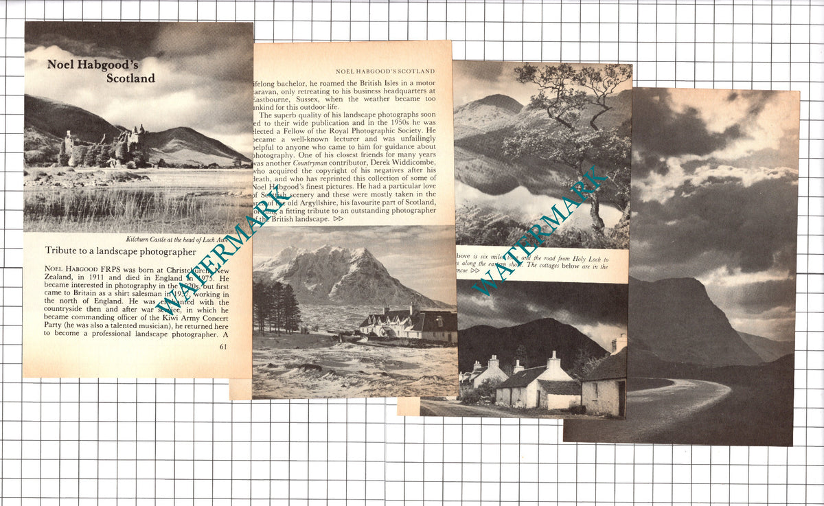 Noel Habgood Christchurch New Zealand Photographer - 1979 Article / Print