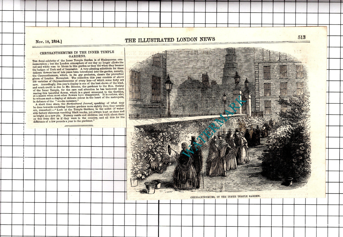 Inner Temple Gardens Mr Brooms Temple London  - 1854 Clipping / Print
