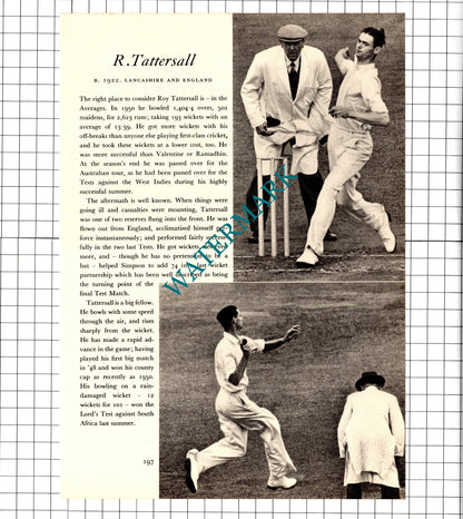 Roy Tattersall Cricketer / Arthur Morris Cricket - 1952 Book Print