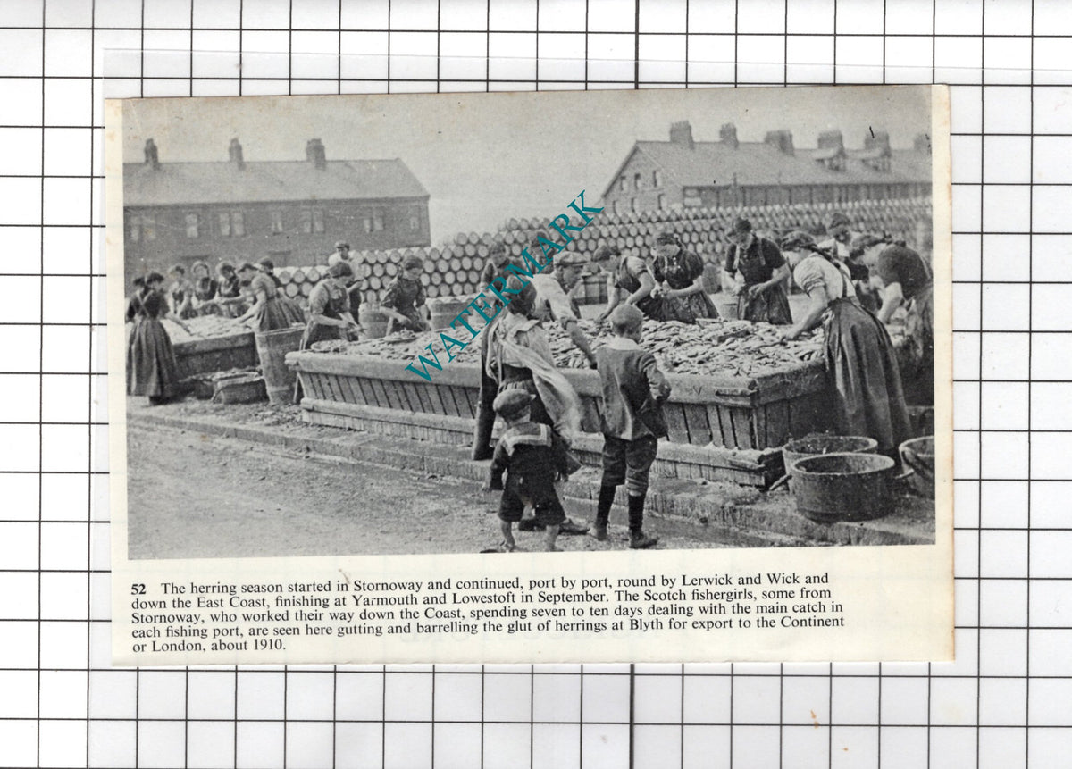Plashetts Colliery Village  Northumberland   - Small Cutting