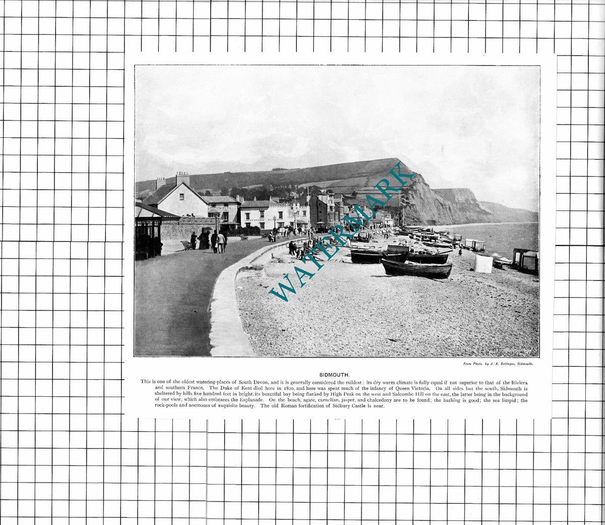 Sidmouth Devon / Taunton Somerset - c.1900 Cutting/ PRINT