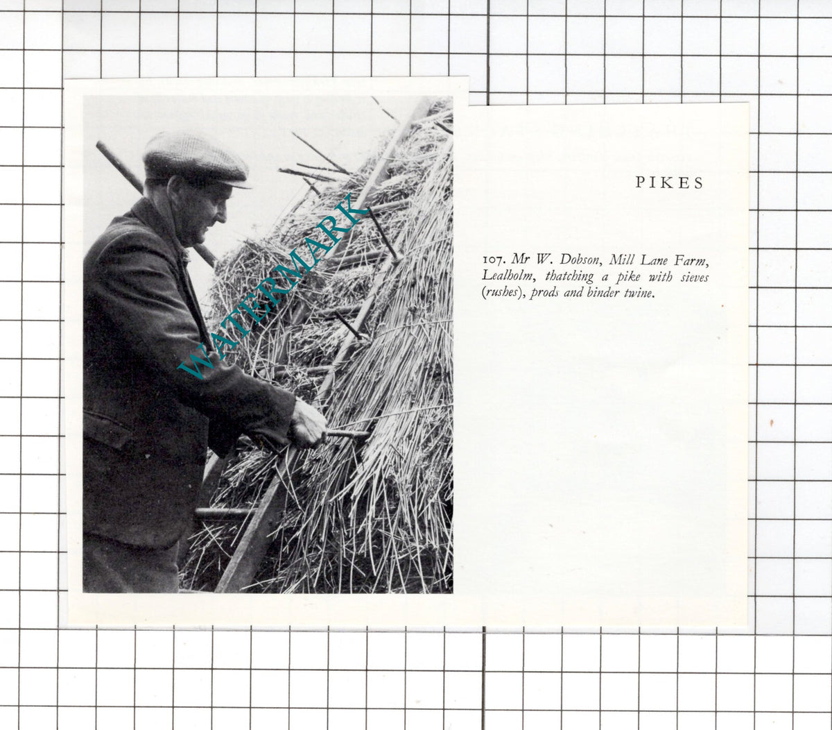 Mr W Dobson Mill Lane Farm Lealholm Yorkshire   -  Small  Clipping