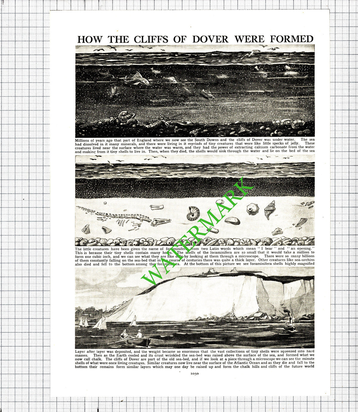 Dover Kent Cliffs  - c.1940s Cutting / Print