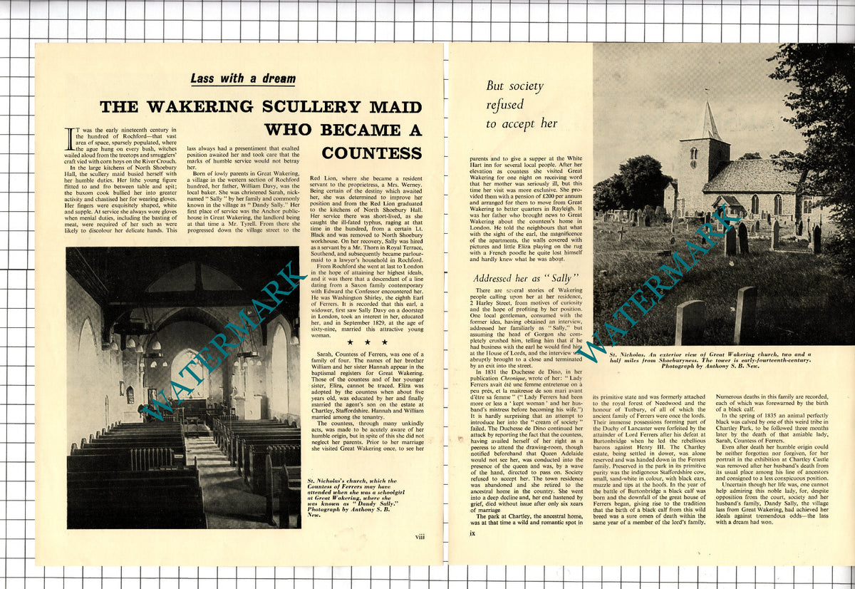 Sarah Davy Great Wakering Essex Dandy Sally Countess Of Ferrers - 1964 Article