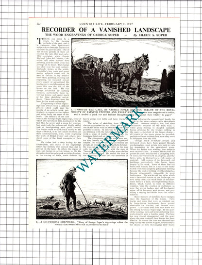 George Soper Artist - 1967 Article / Print