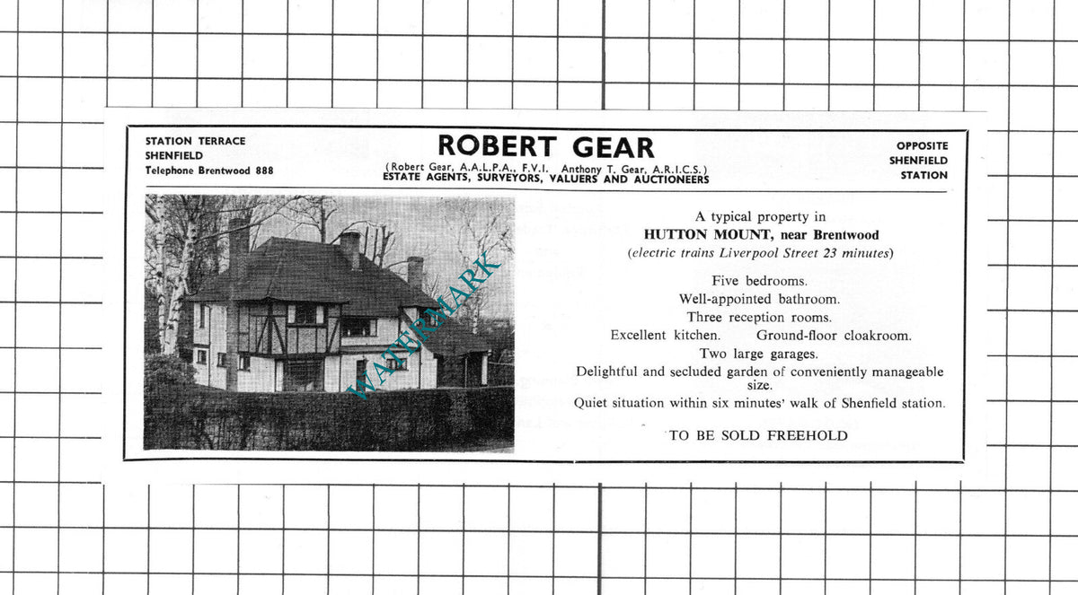 Hutton Mount Essex House Sale Advert -  1965 Cutting