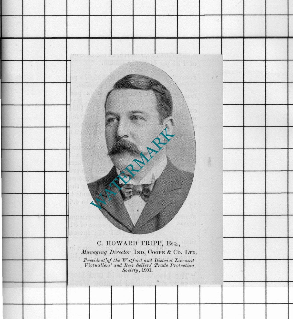 C Howard Tripp Ind Coope & Co Ltd  - 1902 Small Cutting