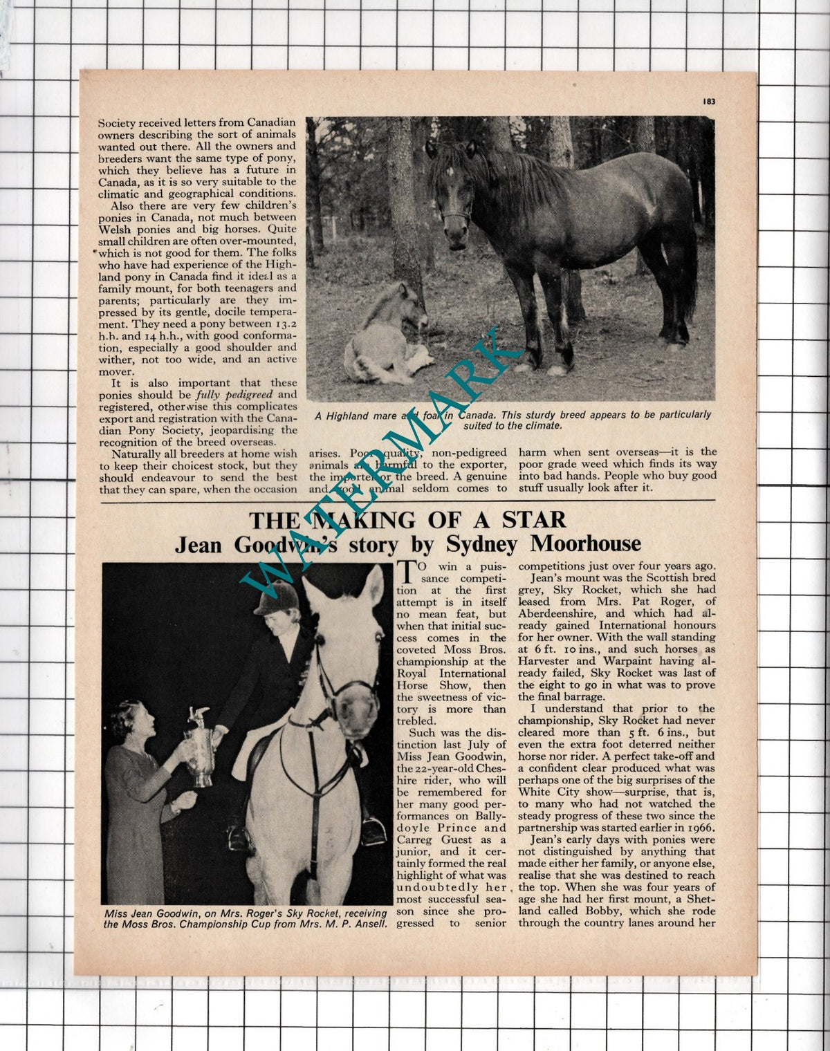 Miss Jean Goodwin Horse Rider Sky Rocket Horse - 1967 Article